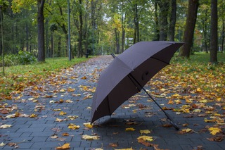 На Ставрополье солнечная погода сменится грозовыми дождями