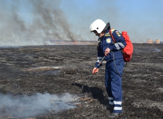 В Ставрополе привлекут к ответственности виновника крупного ландшафтного пожара