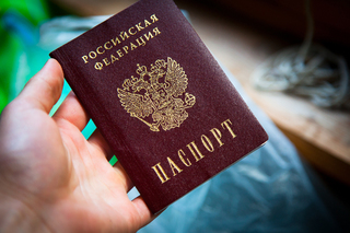 В паспортах россиян может появиться отметка о посмертном донорстве
