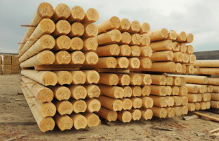 Как выбрать материал для строительства деревянного дома. Брус или бревно?