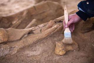 В Кисловодске археологи обнаружили следы древней цивилизации