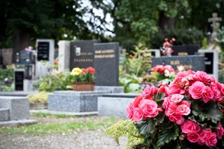 На Ставрополье ограничено движение транспорта возле кладбищ