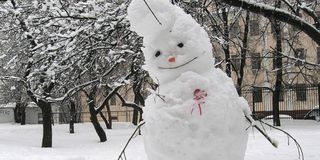 День студентов на Ставрополье будет снежным