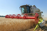 Новости: Цены на зерно