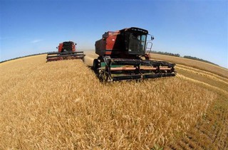 На Ставрополье собрали первую тонну урожая зерновых 2016 года