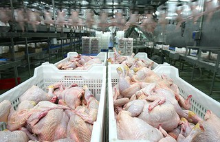 Суд рассмотрит кассацию оштрафованных ставропольских птицефабрик