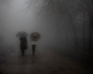 Дожди и туманы придут на Ставрополье