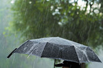 Новости: Дожди и грозы