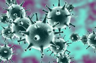 На Ставрополье выявлены новые случаи подозрений на коронавирус