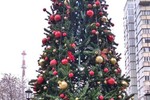 Новости: Новогодняя елка