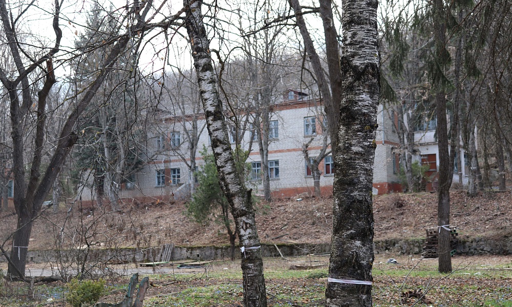 В Минстрое Ставрополья пообещали сохранить деревья во время стройки на Машуке