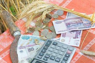 Со ставропольских аграриев списали 375 млн рублей штрафов