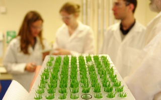 Швейцарская компания откроет на Ставрополье семеноводческую лабораторию