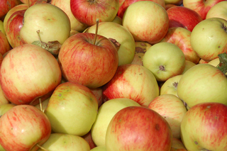 Полпред в СКФО пообещал разобраться с дороговизной яблок в магазинах Ставрополья