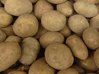 На Ставрополье стремительно дорожает картошка