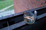 Новости: Запрет на курение