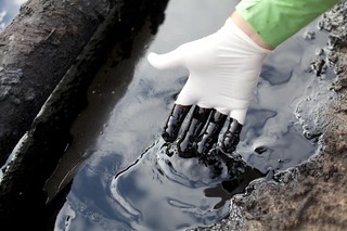 Россельхознадзор оштрафовал ставропольскую компанию за разлив нефти
