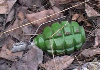 В Ставропольском лесу грибник обнаружил несколько гранат