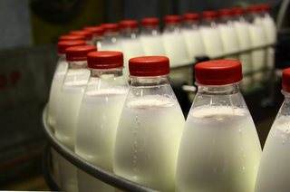 В Пятигорске оштрафовали компанию за нарушения в производстве молочной продукции