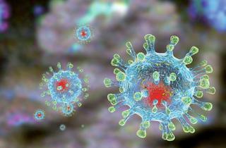 На Ставрополье за сутки коронавирусная инфекция подтвердилась у 56 человек