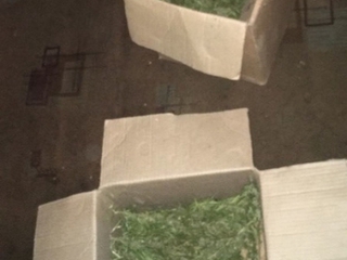 В доме жителя Ставрополья полиция нашла коробки, полные марихуаны