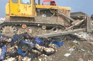Около 2 тонн продуктов без документов изъяли в Ставрополе и уничтожили на полигоне ТБО