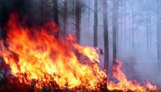 В МЧС предупредили о чрезвычайной пожароопасности на юге Ставрополья