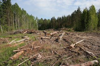 На Ставрополье за 2014 год отмечено 800 нарушений природоохранного закона