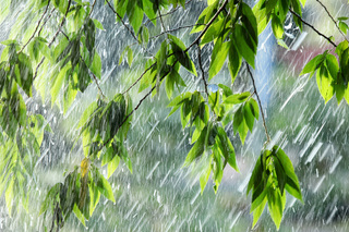 Ветреная и дождливая погода сохранится на Ставрополье до 10 и 11 мая