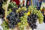 Новости: Виноградарство