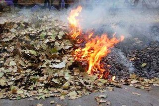 В Пятигорске проходят рейды против поджигателей листвы