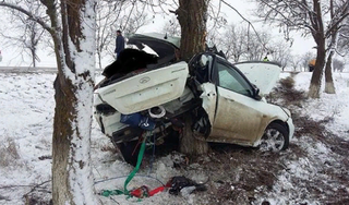 На Ставрополье водитель иномарки при обгоне врезался в дерево и погиб