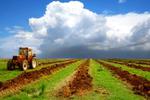 Новости: Земли сельхозназначения