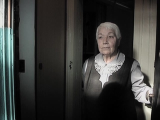 В Пятигорске задержана женщина, совершившая серию краж у пенсионеров