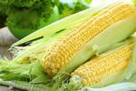 Новости: НИИ кукурузы