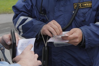 В Пятигорске буйный пассажир задержанного автомобиля напал на инспектора ДПС