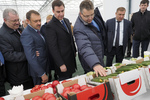 Новости: Комбинат "Овощи Ставрополья"