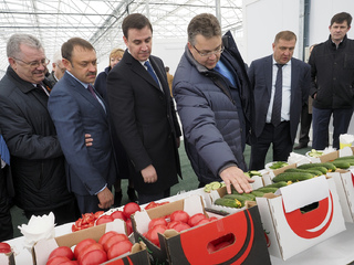 Ставрополье становится ведущим производителем тепличных овощей