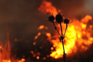На востоке Ставрополья ожидается чрезвычайная пожароопасность