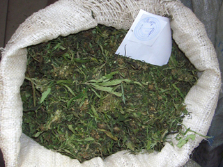 Более 10 кг марихуаны изъяли полицейские у жителя села на Ставрополье