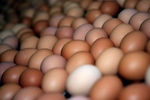 Новости: Подорожание яиц