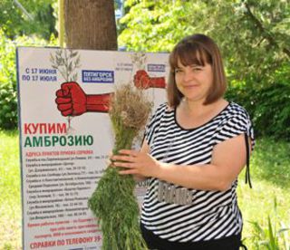 В Пятигорске уничтожено амброзии почти на 300 тысяч рублей