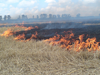 В Ставропольском крае сохраняется чрезвычайная пожароопасность